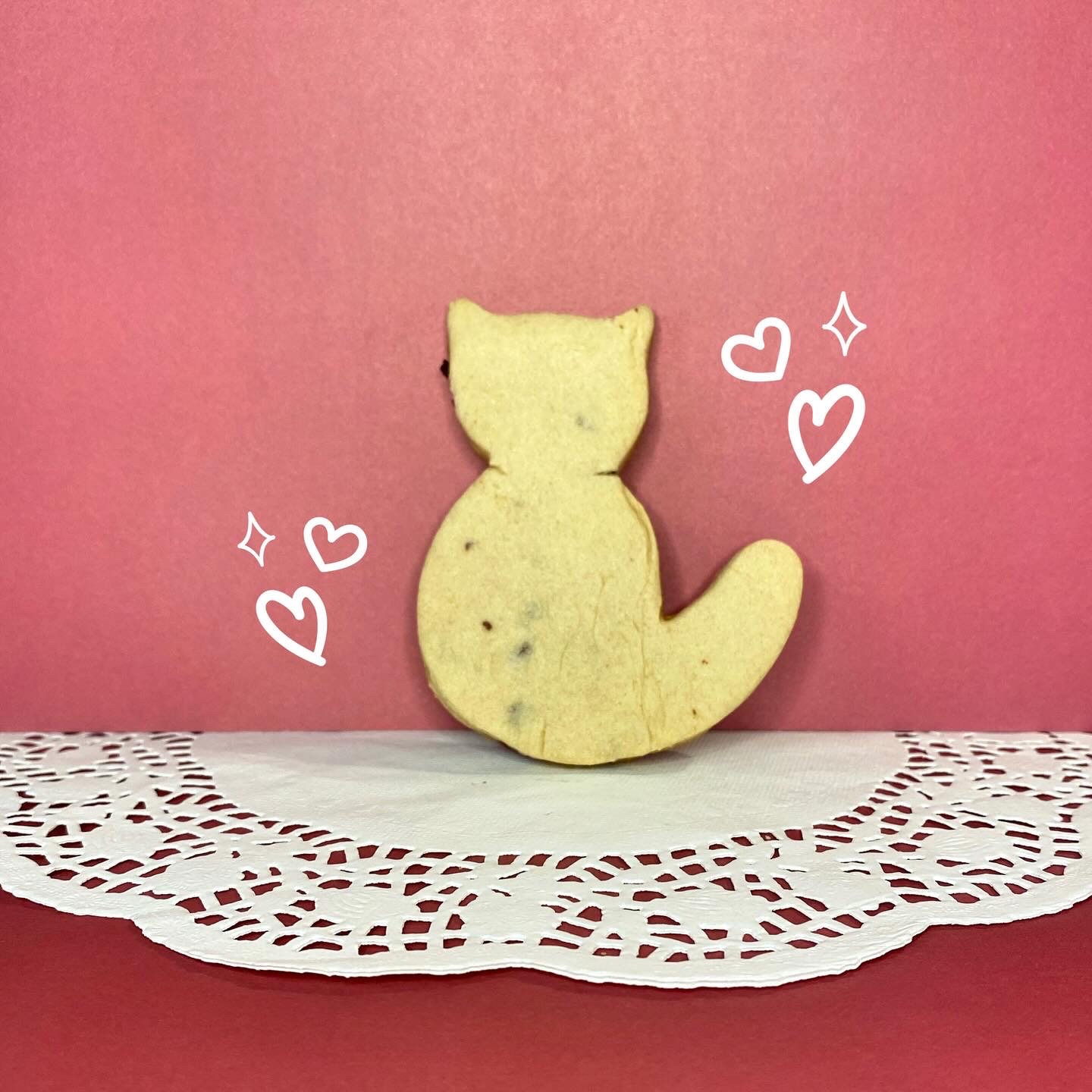 Chocolate chip cat cookie